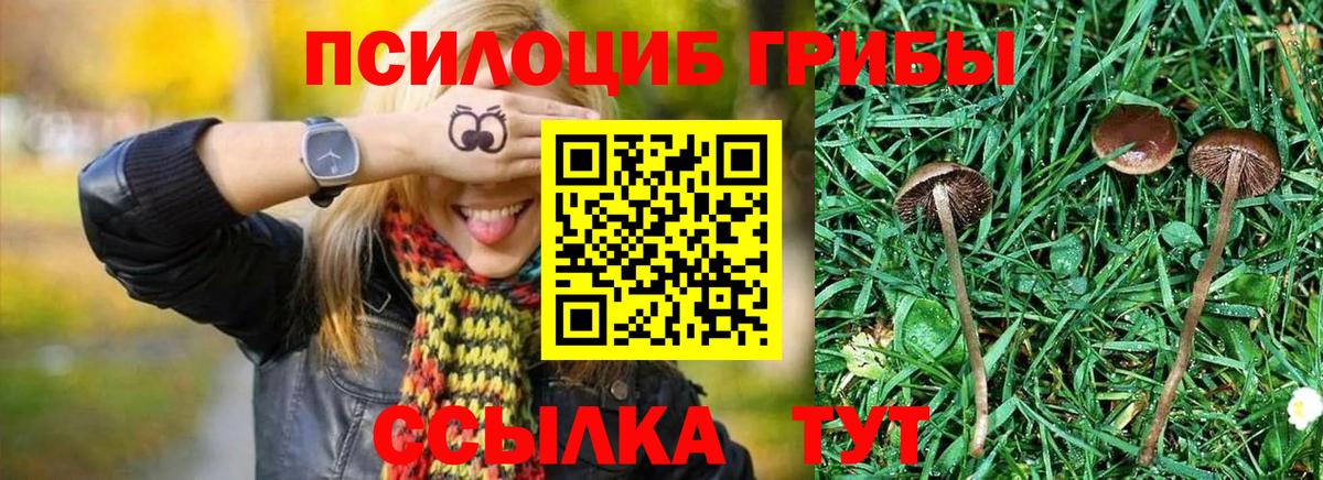 Галлюциногенные грибы мицелий Ишимбай